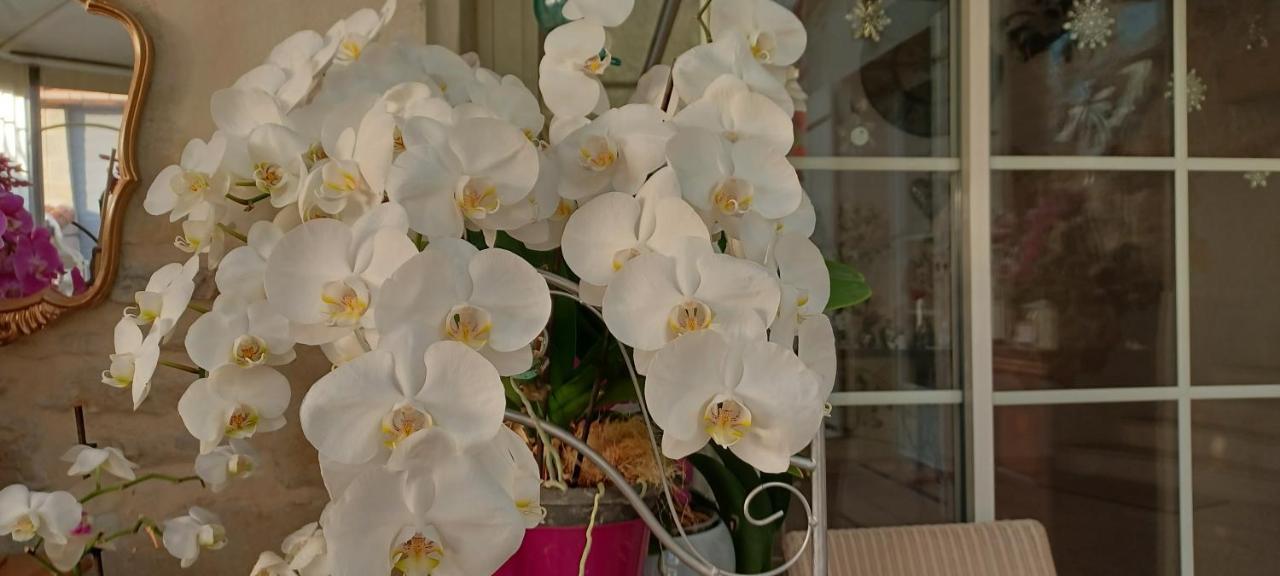 Les Orchidees Chambre Hotes Futuroscope Chasseneuil Poitiers Jaunay-Clan Eksteriør bilde