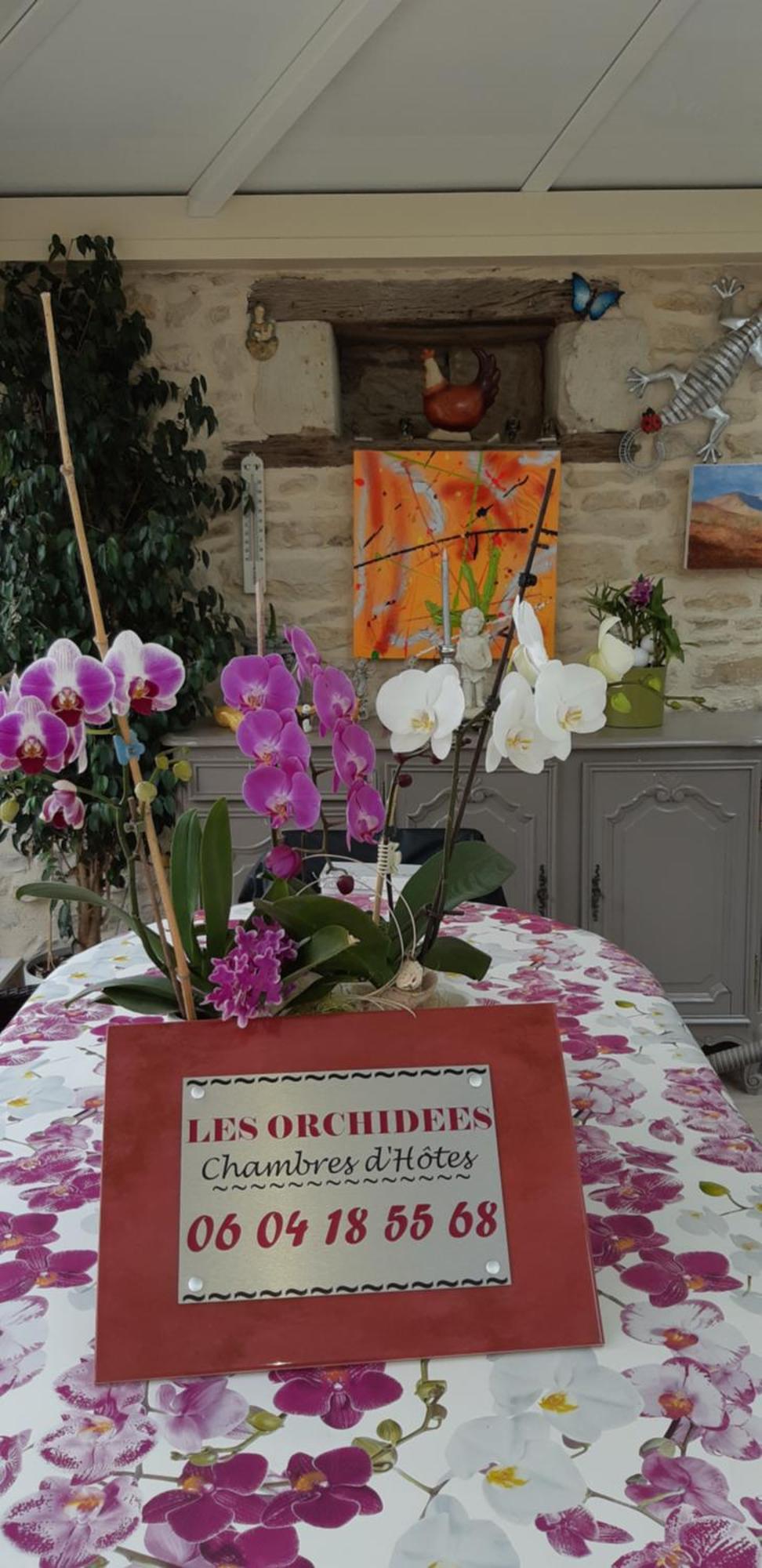 Les Orchidees Chambre Hotes Futuroscope Chasseneuil Poitiers Jaunay-Clan Eksteriør bilde